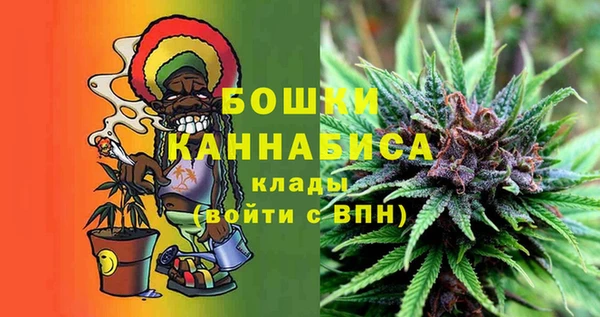 трава Аркадак