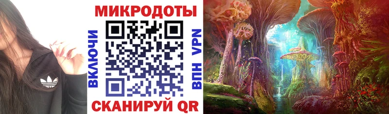 Галлюциногенные грибы ЛСД  Городец 